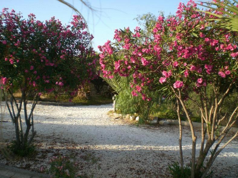 Casas Rurales Cortijo Torreblanca Parque Cabo De Gata Pozo de los Frailes Bagian luar foto