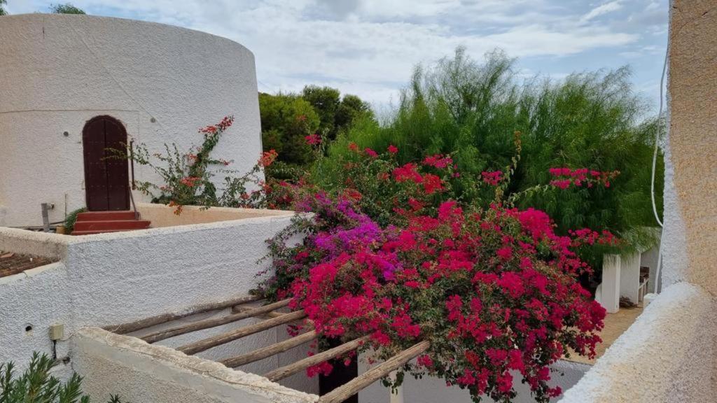 Casas Rurales Cortijo Torreblanca Parque Cabo De Gata Pozo de los Frailes Bagian luar foto